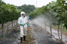 신종코로나에 직격탄...화훼산업 편의점·온라인 판매 늘린다