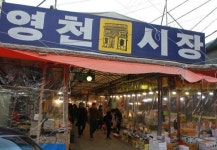 생방송 오늘저녁 영천시장 3대 맛집은?