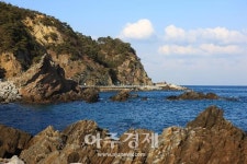 [기수정의 여행 in]해안도로 따라…안전한 드라이브 스루 여행