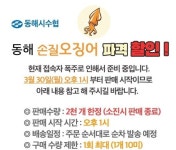 동해시, 30일 ‘동해몰’서 오징어 1상자에 2만원 판매