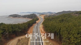 안산시, 대부도 서남부 연결도로 내달 1일 개통한다