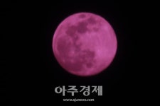 [포토] 4월에 뜬 보름달, 핑크문