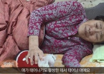 TV동물농장 방송 지연...4·19 기념식 중계 이후 편성