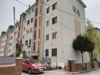 미주 사진 1