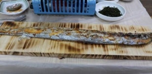 2TV 생생정보 1m 갈치조림 민들레집 위치는?