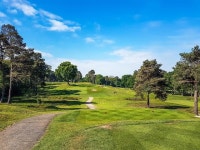 스크린골프 골프존, 골프장 코스 사용 소송서 승소