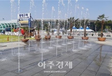 대구시설공단, 동대구역광장에 야자수 식재로 볼거리 제공