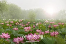 부여군, 코로나19 확진자 전원 퇴원