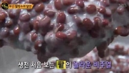 팥빙수 달인 하정국수 위치는?[생활의 달인 은둔식달]