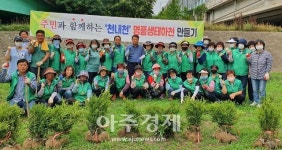 화원읍 새마을회, 천내천 꽃 심기로 새단장