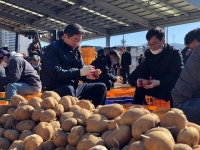 강원농협, 농촌 일손돕기 큰손…113회 3357명 임직원 동참 340 농가 지원