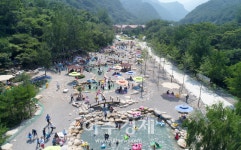 동해시 무릉건강숲, 올 여름 힐링 휴가지는 바로 여기!