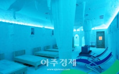 동해시 무릉건강숲, 올 여름 힐링 휴가지는 바로 여기!