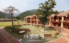 동해시 무릉건강숲, 올 여름 힐링 휴가지는 바로 여기!