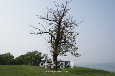 코로나19가 바꿔놓은 우리의 여름, 올해 여름휴가는 안성 죽주산성 자연과 함께!