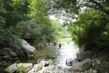 [가자! 언택트 여행] 양평으로 드라이브 IN 여행 어때요?