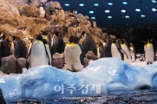 [기수정의 여담] 식지 않는 논란…수족관과 동물원, 교감과 학대 사이에 서다