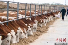 소고기 너마저…中, 10주째 가격 올라 서민들 울상