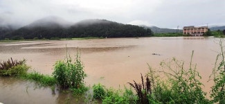 [2020 국감] 집중호우에 펌프장 파손...농어촌공사 설계 잘못 알고도 방치, 피해 키워