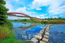 오산시, 천연기념물 ‘수달’ 서식! 생태하천 증명된 ‘오산천‘