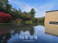 [기수정의 여행 in] 멈추고 걷고 구르고…원주의 가을에 빠져들다