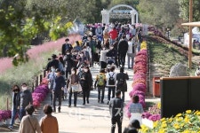 힐링·지역경제…코로나 위기 속 주목받는 가평 자라섬 남도