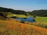 매물로 나온 금호리조트…아시아나 골프장은 어쩌지~