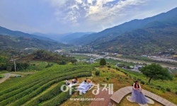 [기수정의 여행 in] 하동 그곳엔 초록가을이 있다...마음아, 차 한잔 하고 가라