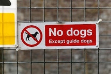 식당, 마트, 택시, 교회까지...시각장애인 안내견 출입 거부하는 사회