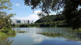 삼성디스플레이, 충남도·아산시와 손잡고 물 자원 보호 앞장