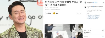 마취 반려견에 탈취제 뿌리며 박장대소한 동물병원, 국민청원 10만 돌파