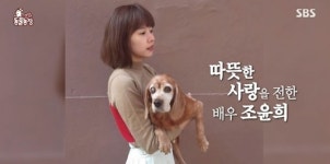 조윤희, 이동건과 이혼 7개월 만에 동물농장으로 복귀