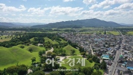 경주 ‘대릉원 무료 개방·출입구 추가 개설’...시민 57% 원해