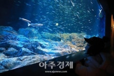 [포토] 생애 처음 만나는 바닷속 친구들