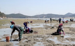 경영 이양하고 어촌 떠나는 고령자에 연 1440만원 지급