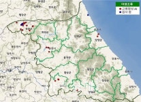 강원도, 올해 첫 산란농장 AI 발생…야생조류도 잇단 확진