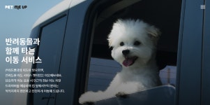 카카오모빌리티, 반려동물 전용 택시 ‘펫미업’ 인수