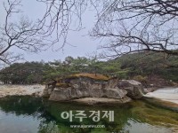 [기수정의 여행 in] 우두산 절경보며 눈호강 오도산 솔숲따라 몸호강