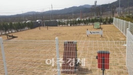 춘천시, 반려견 놀이터 및 스마트슈퍼 생긴다