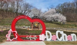 성남시, 여성 임대아파트 다솜마을 입주대상 확대