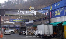 오는 11일 춘천의 첫 전통시장 라이브커스 번개시장 마케팅 ‘시선집중’