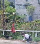 '날아올라라 나비' 심은우, 학교 폭력 인정 한 달 만에 근황 공개