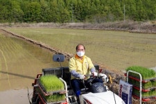 삼백의 고장 상주시, 올해 첫 모내기 진행