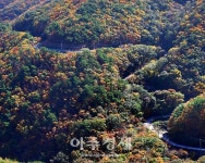 충남도, 내포문화숲길 ‘국가숲길 승격’ 도전