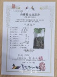 [인터뷰] 구미 약초당 김창현 대표 소백산자락에서 50년된 지종산삼 발견해 화제