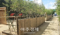 힐링의 명소로 소문난 대구 달성군···죽곡 댓잎소리길 열다