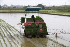모내기 막바지 용수공급 원활…생활용수는 지역별 격차