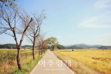 시흥시, ‘호조벌 노을보며 걸어볼까?’···은행천 체험산책로 조성 추진