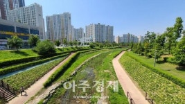 김포시, 가마지천 산책로 ‘걷고 싶은 꽃길’ 조성 완료