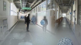 수원구치소 평택지소 수용자 1명 코로나19 확진